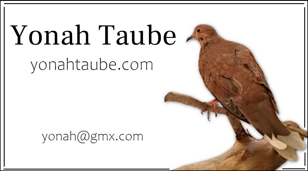 mourning dove turtle dove